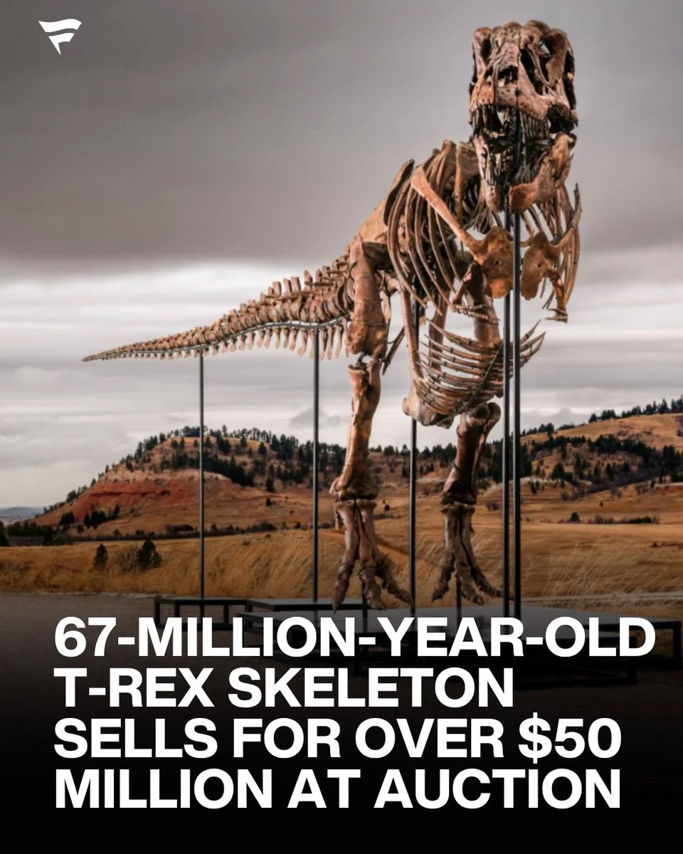 @Collect X post media