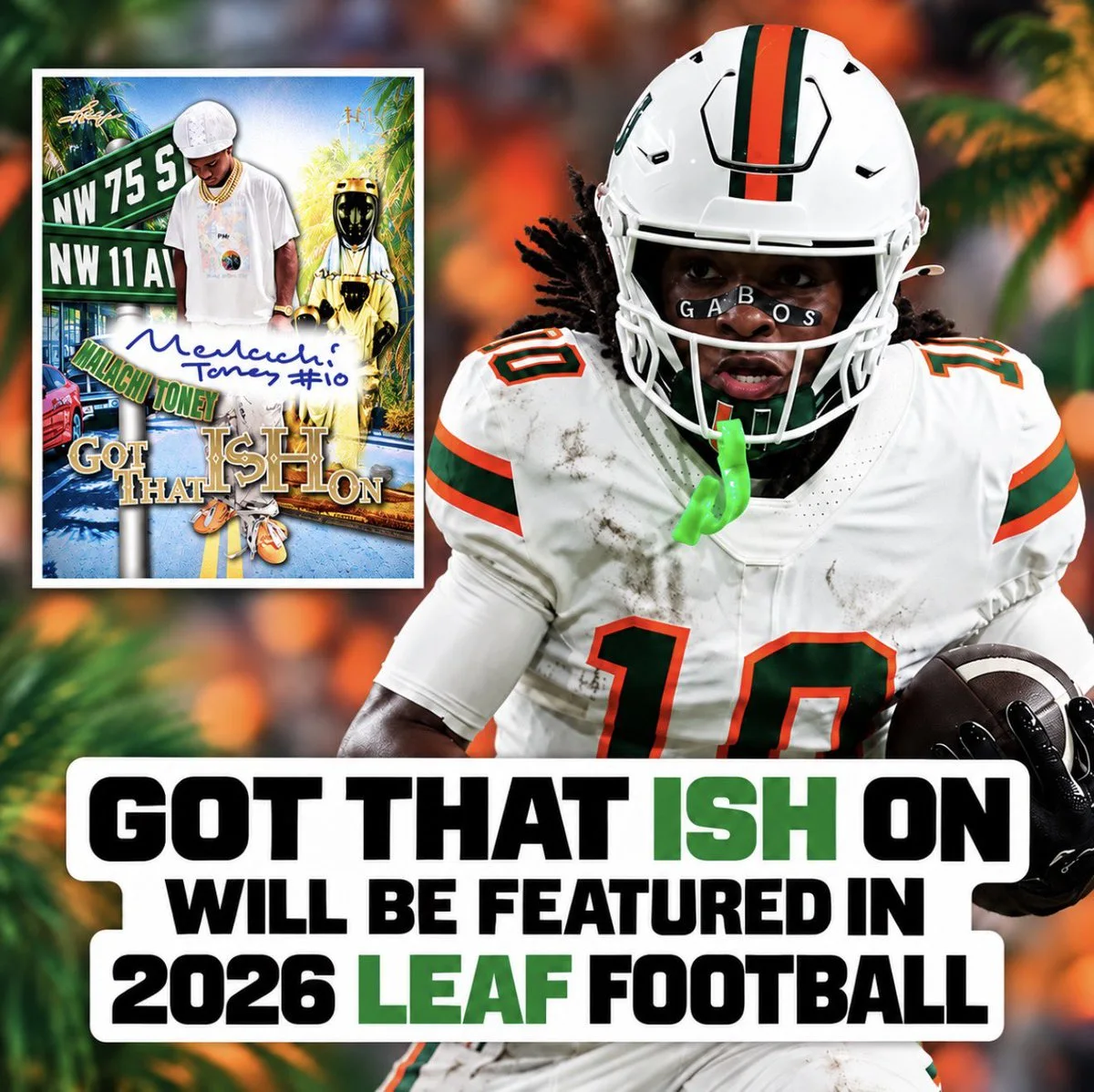 @Leaf_Cards X post media
