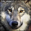 Taliasen avatar