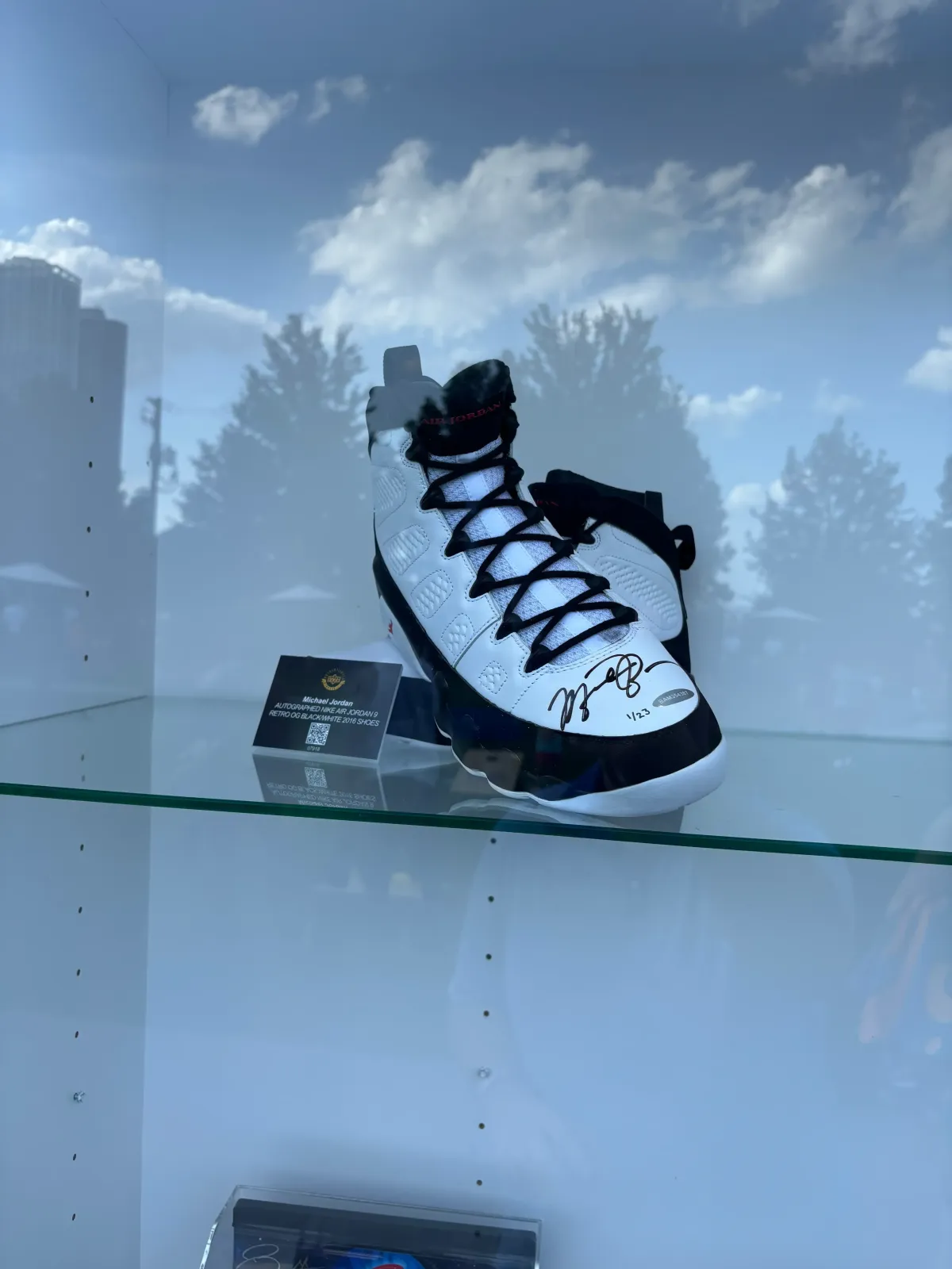 Upper Deck Authentic Space Jam Michael Jordan Autographed Shoes